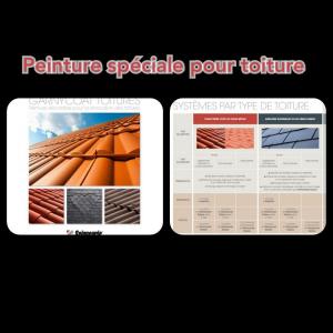 Peinture spéciale toiture 
